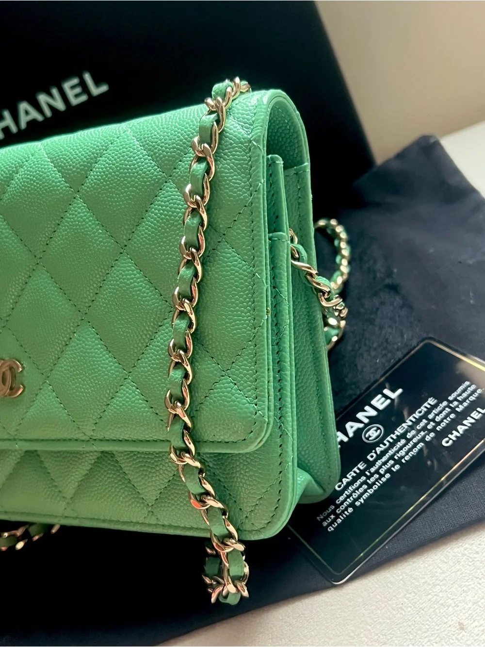 💚💚Chanel Caviar Green WOC Wallet On Chain